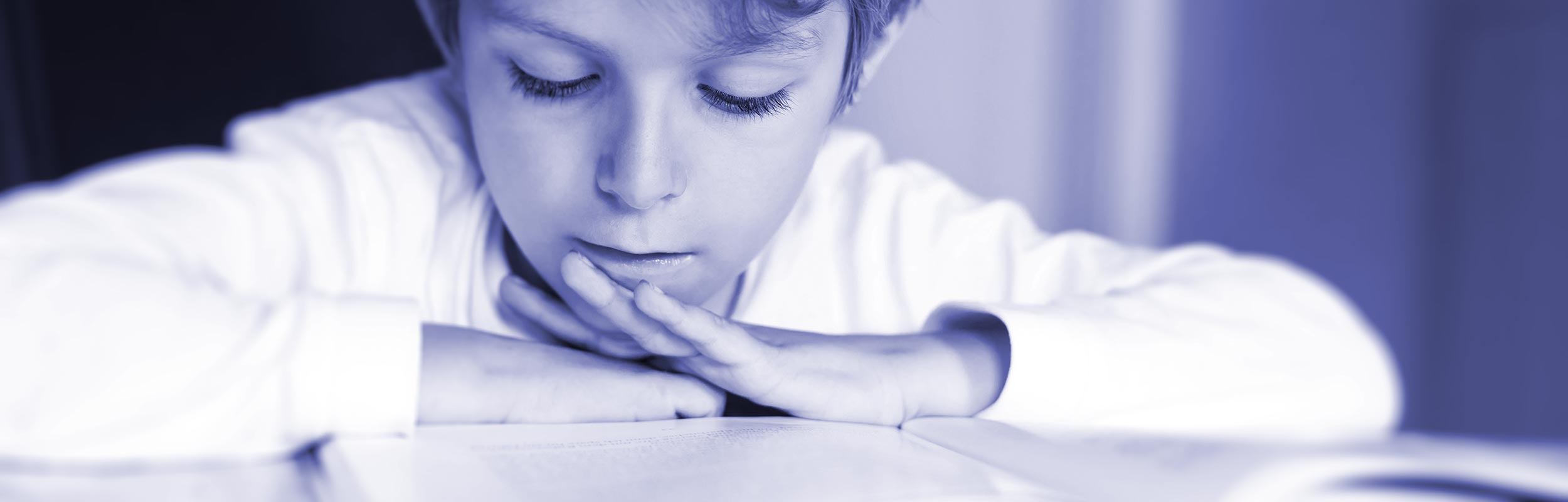 Young boy reading a book, concentrating